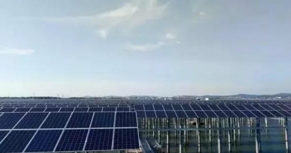 晶澳海外業(yè)務(wù)增長(zhǎng)迅速 巴西、馬來(lái)西亞光伏電站均采用其高效單晶PERC組件