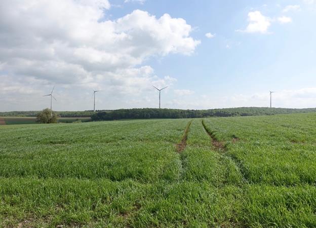 12兆瓦風(fēng)電場采用Enercon E-115渦輪機(jī)正式開通