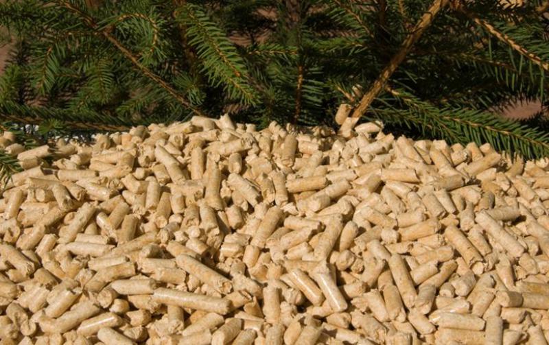 住友重機工業(yè)有限公司(SHI)在日本，韓國獲得生物質(zhì)項目