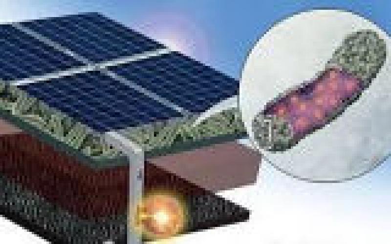 加拿大開發(fā)出大腸桿菌太陽能電池