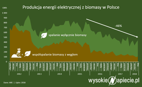 波蘭：生物質(zhì)將取代煤炭？