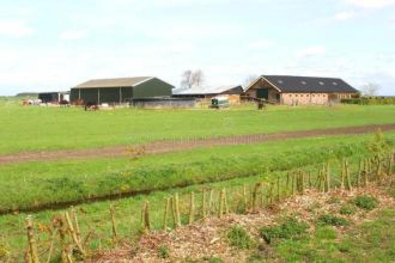 荷蘭的三個太陽能農(nóng)場得到了一億歐元投資