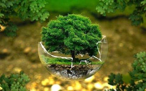 歐洲第一個汽車可再生能源PPA支持企業(yè)應對氣候變化