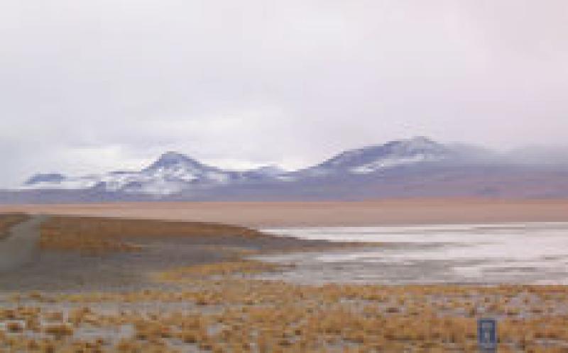 RFP：技術(shù)協(xié)調(diào)地?zé)衢_發(fā)，Laguna Colorada，玻利維亞