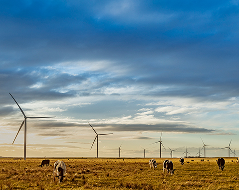 Acciona被授予維多利亞州（澳大利亞）的風(fēng)電場(chǎng)