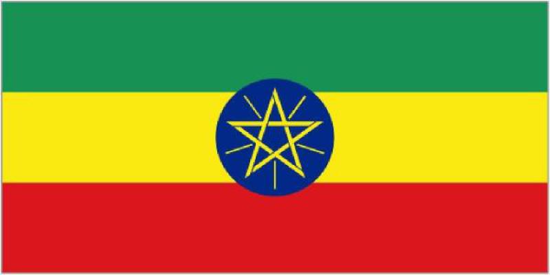 埃塞俄比亞能源政策框架與戰(zhàn)略