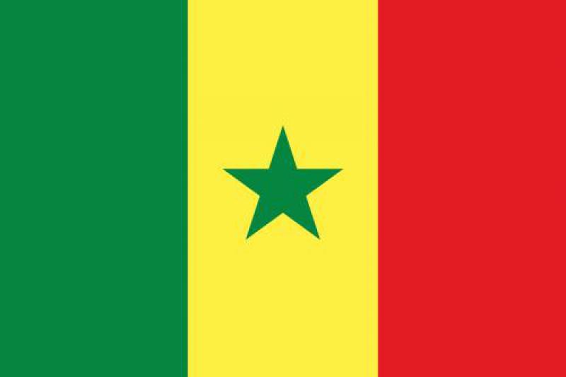 塞內(nèi)加爾能源概況