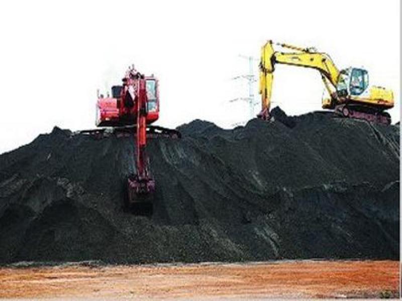 進(jìn)口煤一周漲20元/噸！