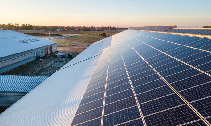 愛沙尼亞奶牛場開始工作的太陽能發(fā)電廠處于最高容量