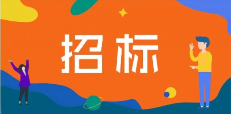 廣西公司能源發(fā)展公司新能源場站2025-2026年風機整年定檢服務公開招標