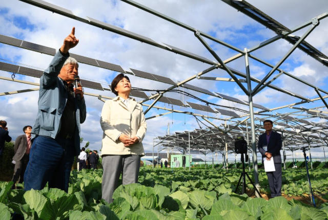 韓國推進農(nóng)業(yè)光伏項目法案制定與產(chǎn)業(yè)部署