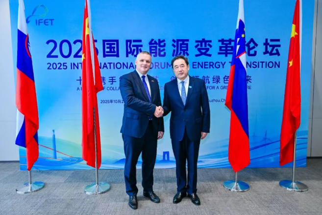 國家能源局主要負責(zé)人會見斯洛文尼亞環(huán)境、氣候和能源部部長