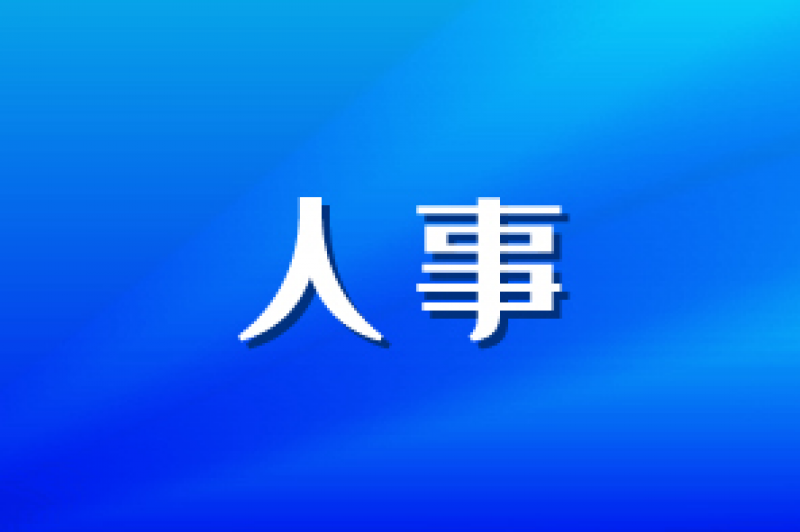 龍?jiān)措娏Ω笨偨?jīng)理辭任
